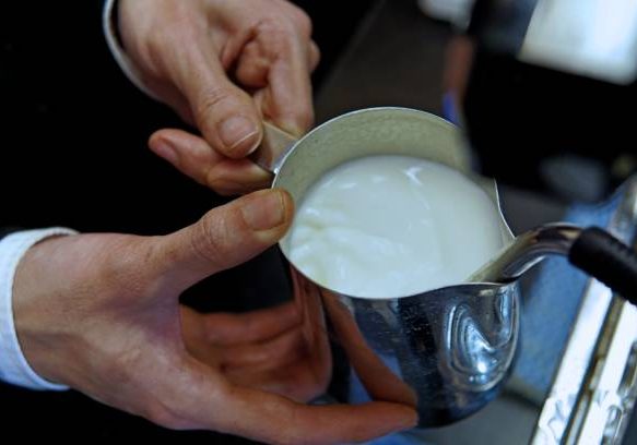 Barista frothing milk in a jug